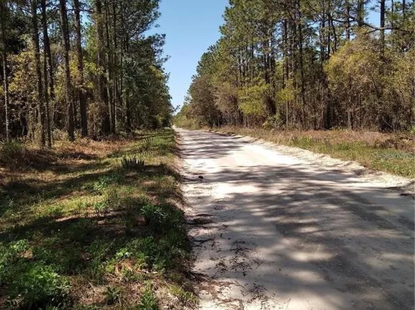 SW 76th Ln Lot 3, Dunnellon, FL 34432