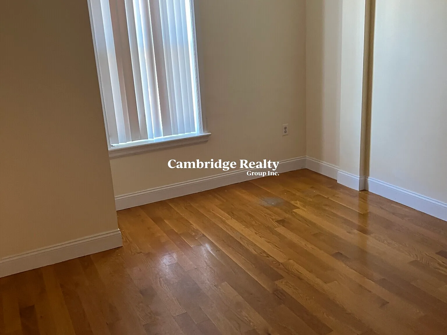 3 bed, 1.0 bath, 700 sqft, $4,700 — Photo 3