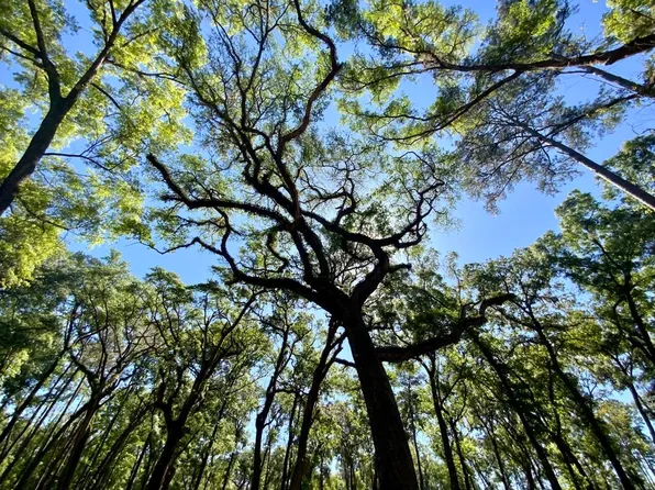 Vacant Admiral Ln, Madison, FL 32340