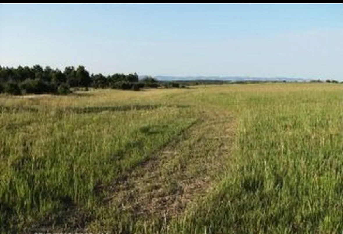 20100 County Rd S — Photo 4