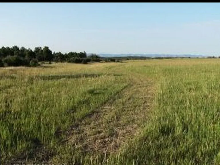20100 County Rd S — Photo 4