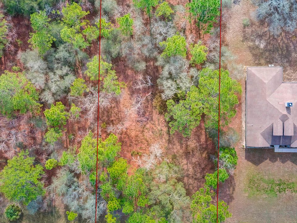 2nd image of 13058 E Snowy Plover Ave