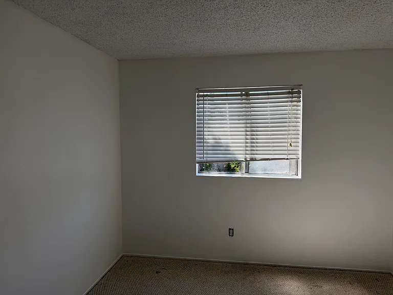 7885 Camino Huerta — Photo 6