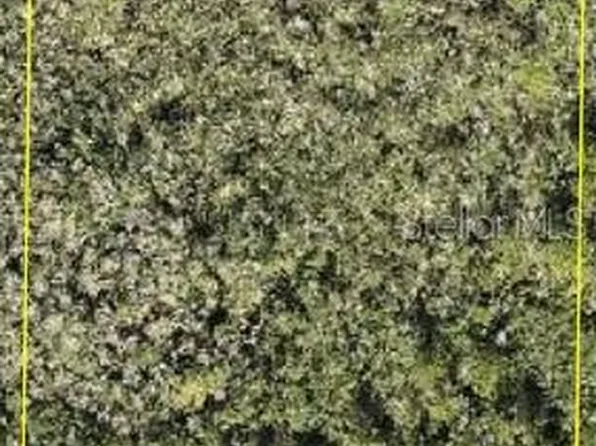 Calvin Lee Lot 8100, Clermont, FL 34711