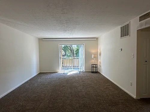 Floor plan 1 Bed 1 Bath Carpet