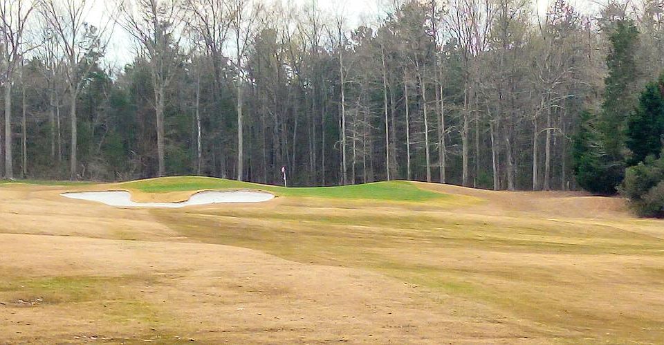 2nd image of 4.88 Acres On The Green Olde Sycamor #4