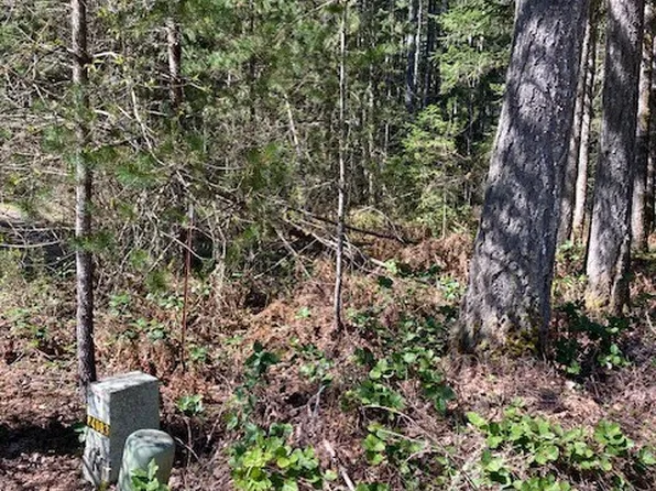 131 N Rainbow Way, Hoodsport, WA 98548