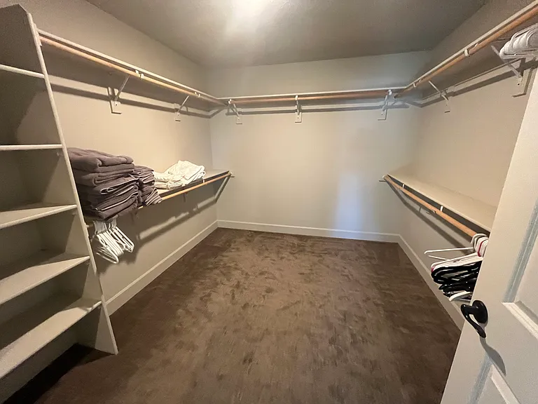 Primary Closet