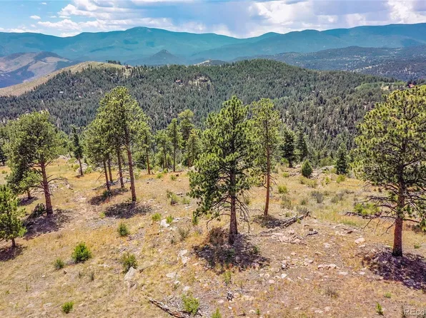 33550 Mount Wilson Trail, Pine, CO 80470