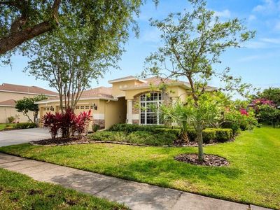 16142 Bridgepark Dr, Lithia, FL, 33547