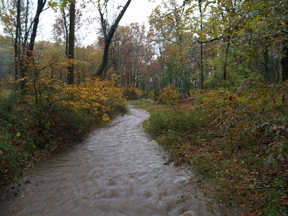 house overlooks this stream