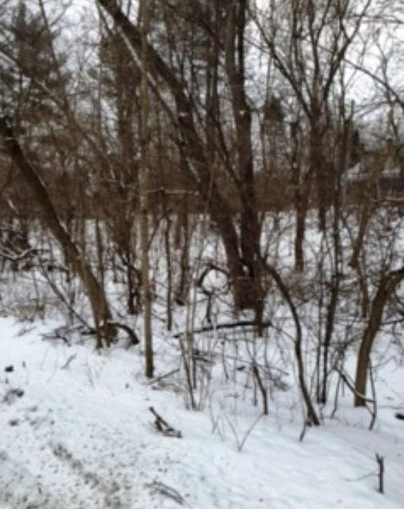 1st image of Xxx Cedar Street Birchwood Vlg