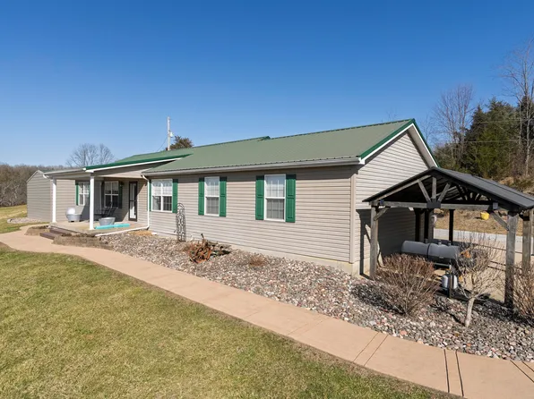 110 Buffalo Ridge Rd, Falmouth, KY 41040