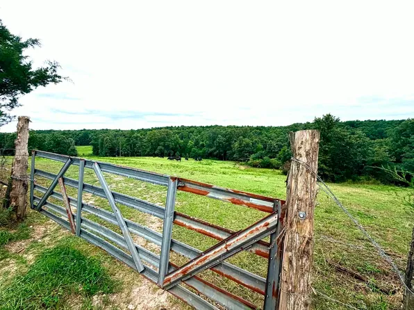 000 County Road 585, Winona, MO 65588