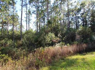 25 Ac Mary Kitchens Rd, Milton, FL 32583