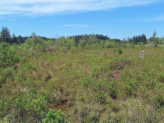 4th image of 456 Meier Road