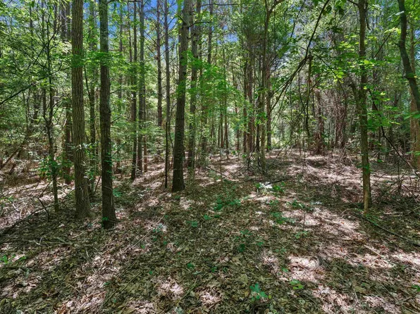 County Road 3361 Tract D, De Berry, TX 75639