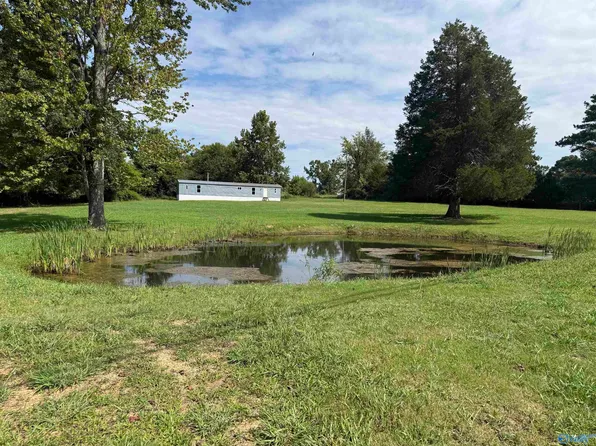 17459 County Road 460, Moulton, AL 35650