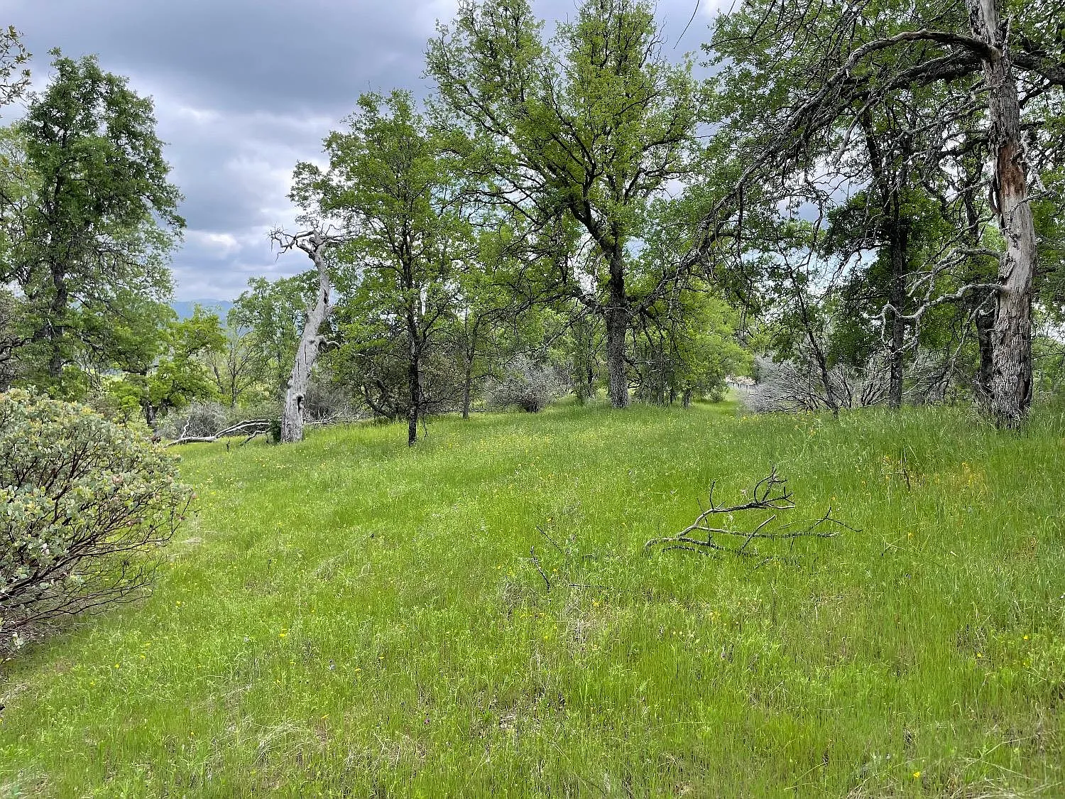4836 Moonshadow Rd photo 1