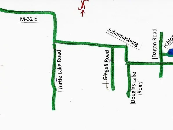91 Chippewa Trl, Johannesburg, MI 49751