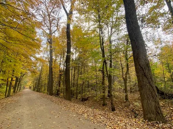 57th St Parcel F, Grand Junction, MI 49056