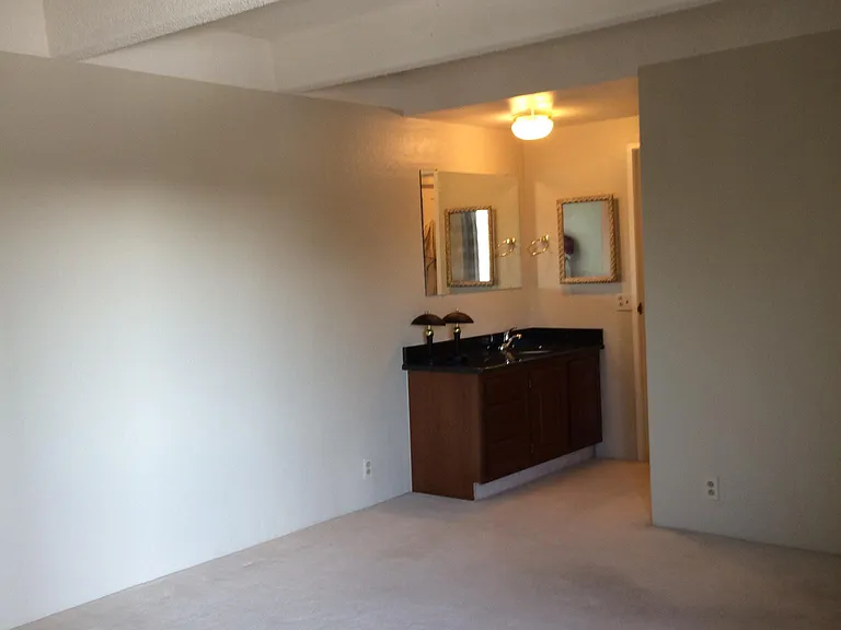 Master bedroom with vanity sink
