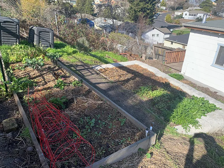 753 Manor Rd #B — Photo 13
