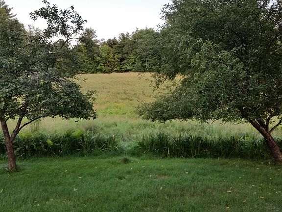 View from Front Yard