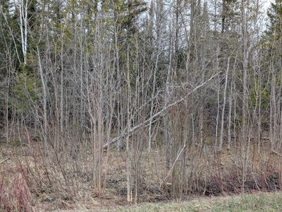 0 Charles Moran Rd, Moran, MI, 49760