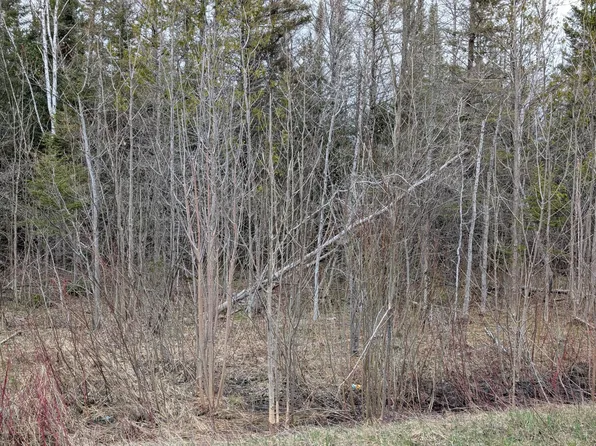 0 Charles Moran Rd, Moran, MI 49760