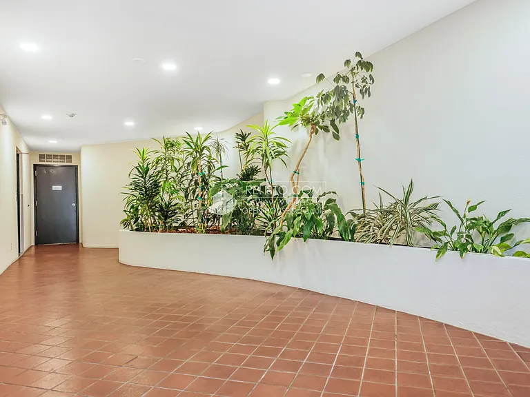 1425 Vallejo St #205 — Photo 20