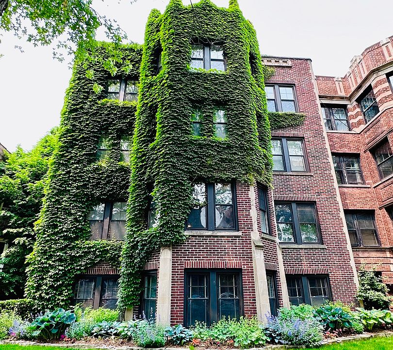 1st image of 5350 N Glenwood Ave APT 3W