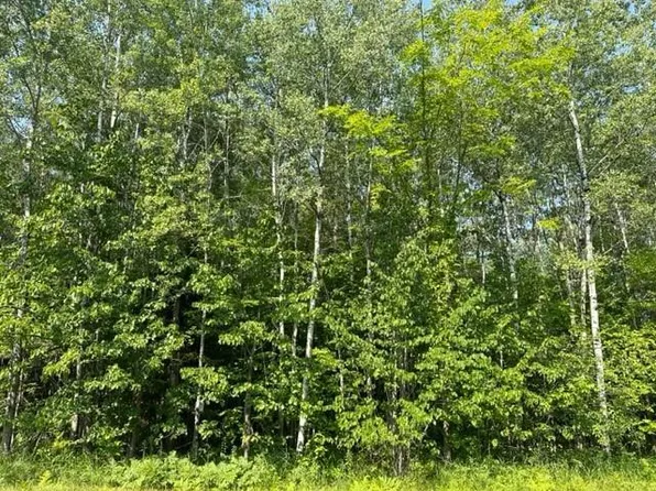 7189 County Highway W, Winter, WI 54896