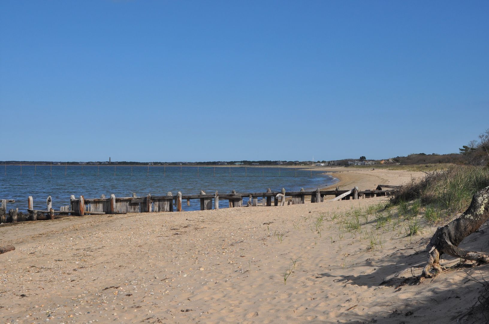  Big Albert's Landing beach