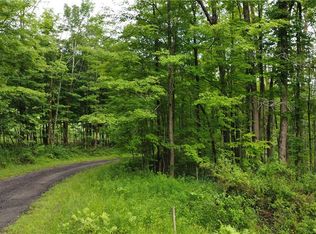 5011 Smith Rd, Ellicottville, NY 14731