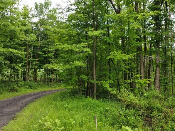 5011 Smith Rd, Ellicottville, NY 14731