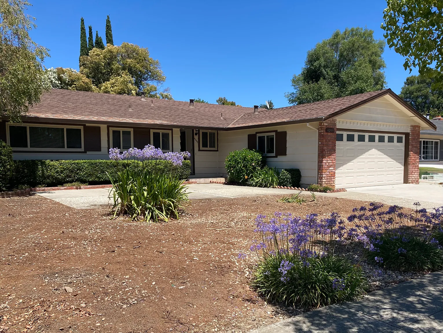 4099 Hamilton Park Dr photo 1