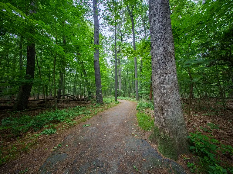 Trail to Forest Park literally across the street
