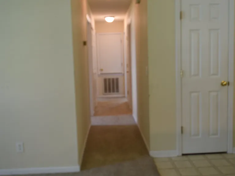 102 Trellis Way — Photo 17