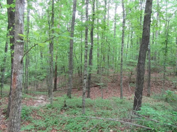 Tracts 34 35 36 Curts Way, Cleveland, SC 29635