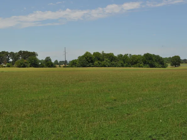 Tract A Delzell Woods Road, Rogersville, MO 65742
