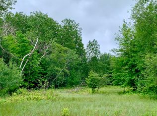 11363 Bridle Path, Alanson, MI 49706