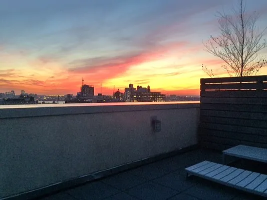 Rented by Lalezarian Properties | media 24