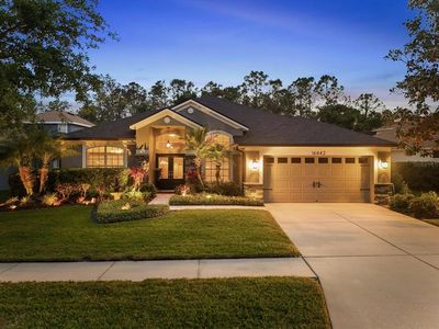 16442 Bridgewalk Dr, Lithia, FL, 33547