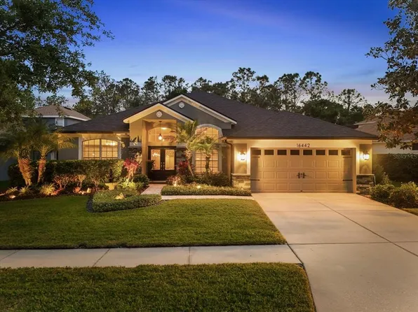 16442 Bridgewalk Dr, Lithia, FL 33547