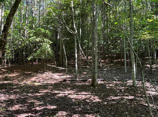 17 Hidden Branch Dr, Young Harris, GA 30582