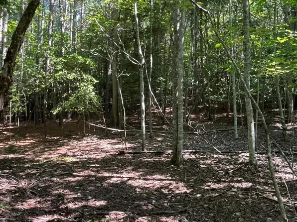 17 Hidden Branch Dr, Young Harris, GA 30582