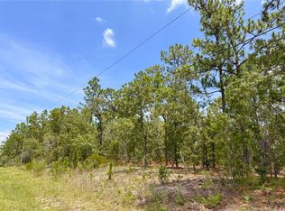 5317 N Mint Point LOT 10, Beverly Hills, FL 34465
