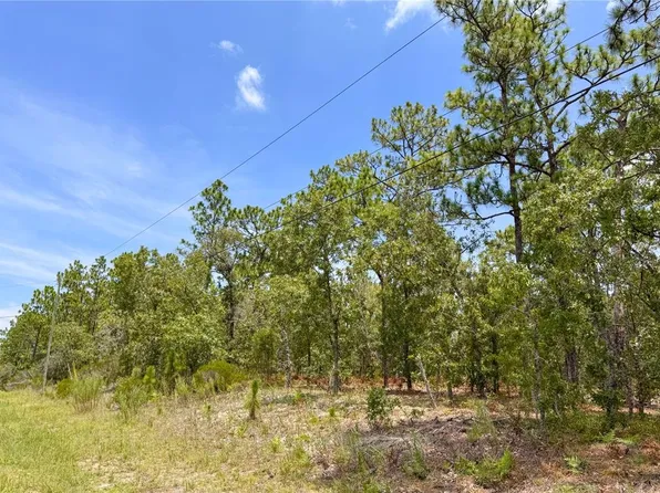 5317 N Mint Point Lot 10, Beverly Hills, FL 34465