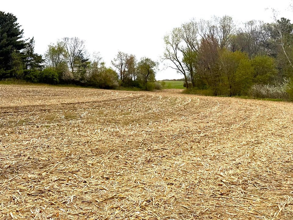 1st image of 74 acres Sand Prairie Road